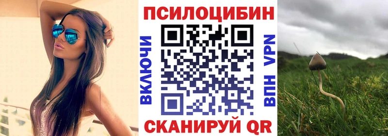 Псилоцибиновые грибы Psilocybe  Купить  Алексеевка 